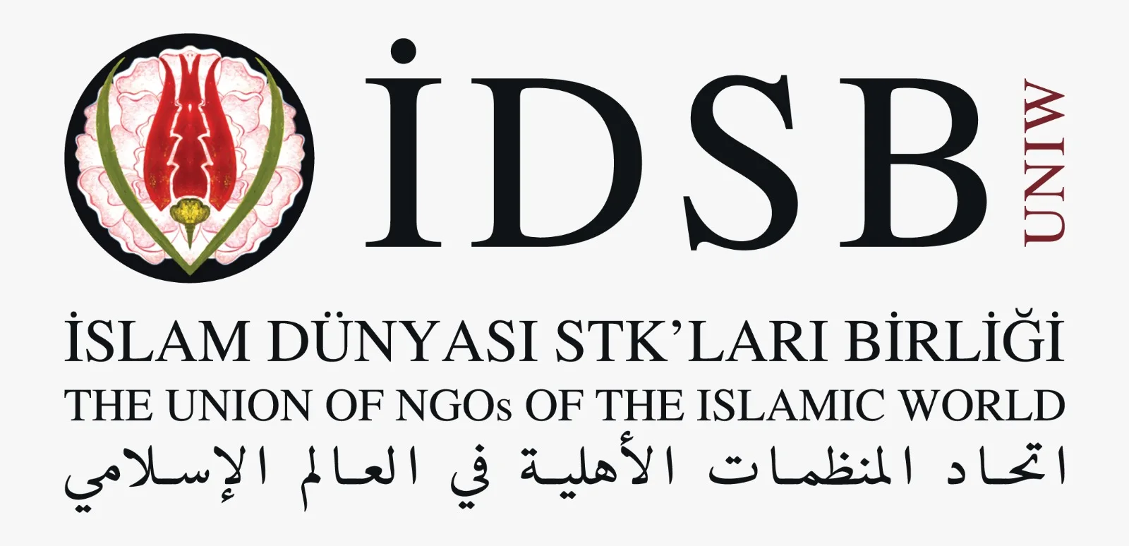 Union of NGOs of the Islamic World